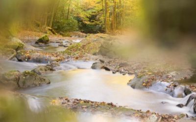 The Spiritual Path of Understanding: Your Soul’s Journey to Deeper Empathy